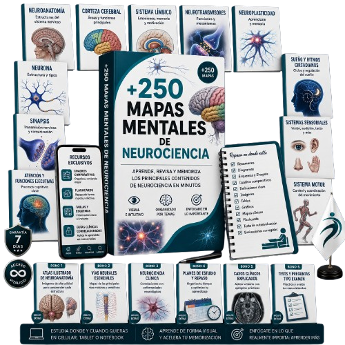 Kit MapaNeuro